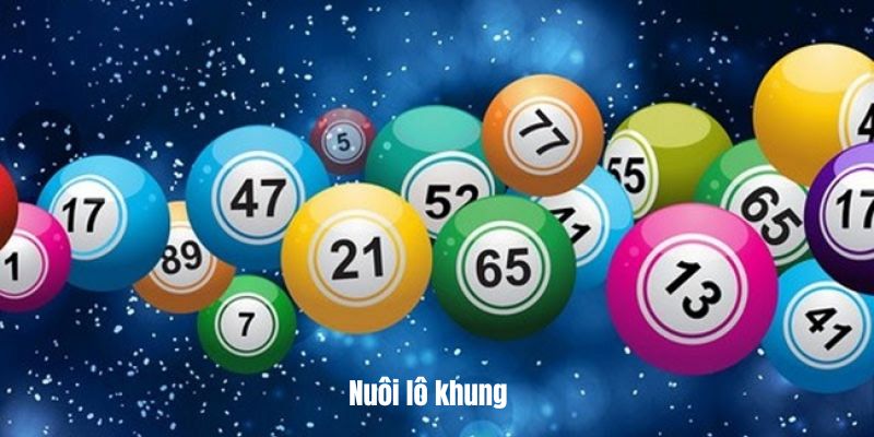 Nuôi lô khung liên tục nhiều kỳ